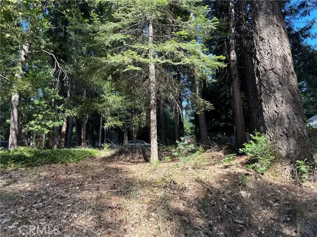 0 Asheville, Magalia, CA 95954 - #1