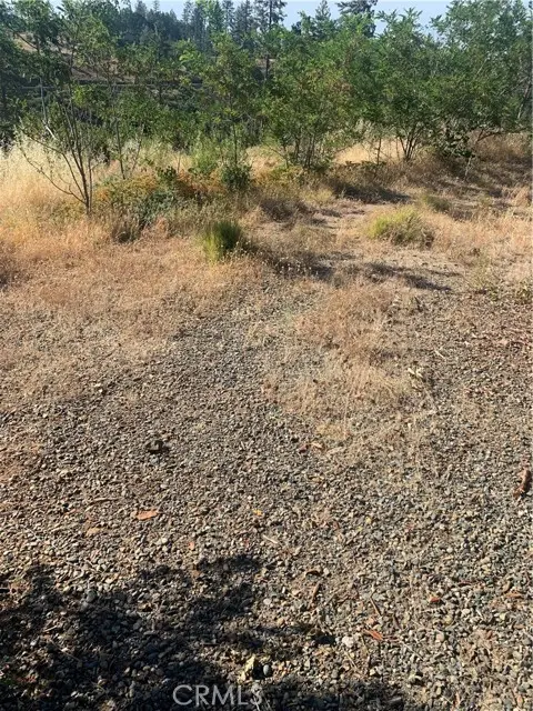 1797 Stearns Road, Paradise, CA 95969 - #3