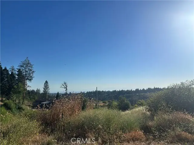 13753 Sugar Pine, Magalia, CA 95954 - #1