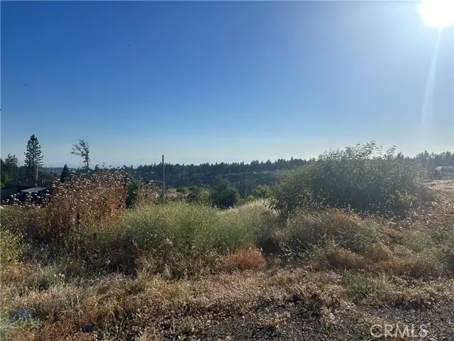 13753 Sugar Pine, Magalia, CA 95954 - #3