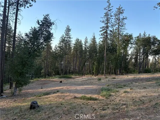 5910 Boeta Court, Paradise, CA 95969 - #3