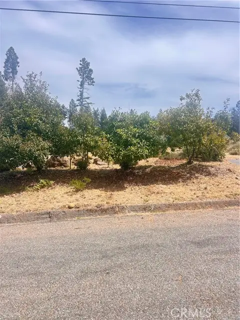 13837 Ferguson, Magalia, CA 95954 - #1
