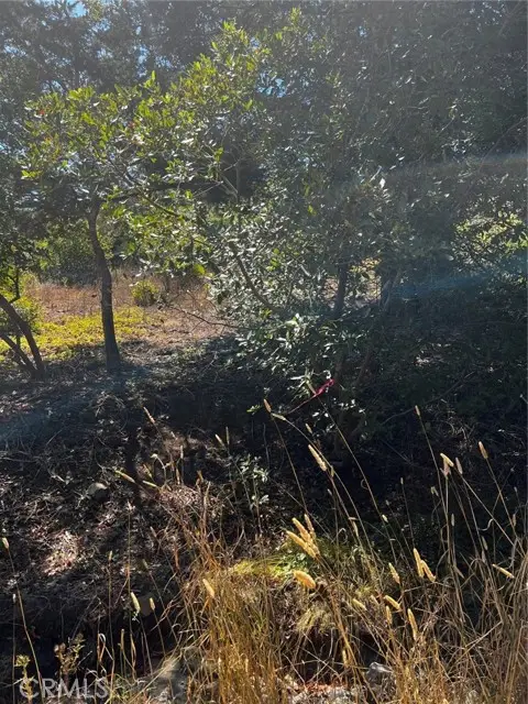 3236 Gleason Street, Cambria, CA 93428