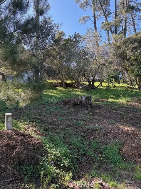0 Spencer, Cambria, CA 93428 - #3