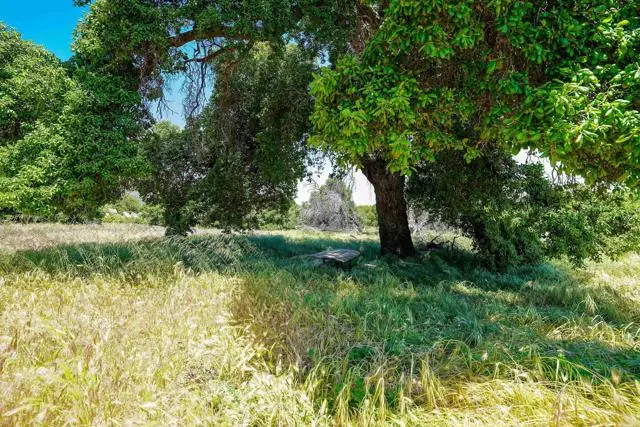 160 acres Canebrake, Boulevard, CA 91905 - #2