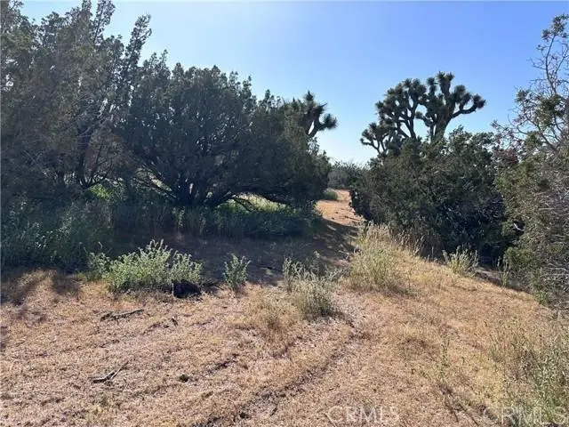 Daisy Road, Hesperia, CA 92344 - #1