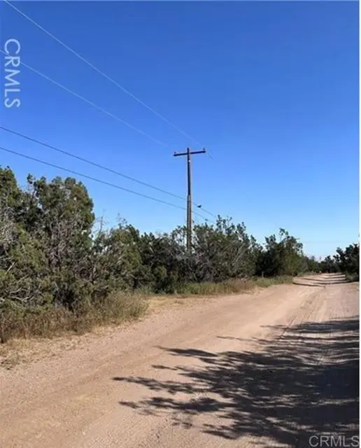 Daisy Road, Hesperia, CA 92344 - #3