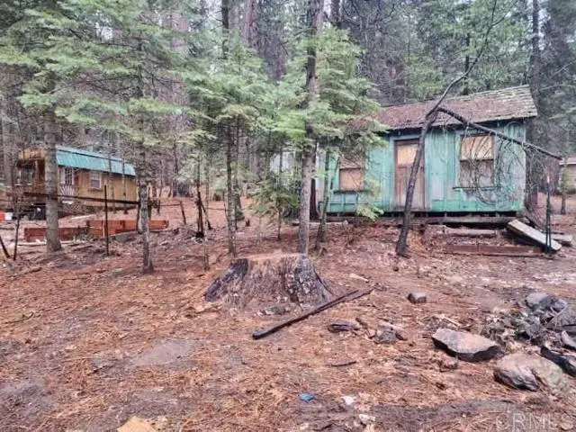 1517 Maple Street, Arnold, CA 95223 - #3