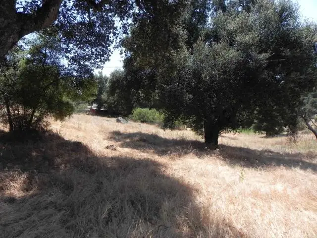 0 Arrowhead Lane, Descanso, CA 91916 - #1