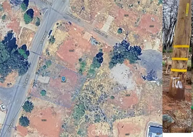 13630 Park, Magalia, CA 95954 - #2