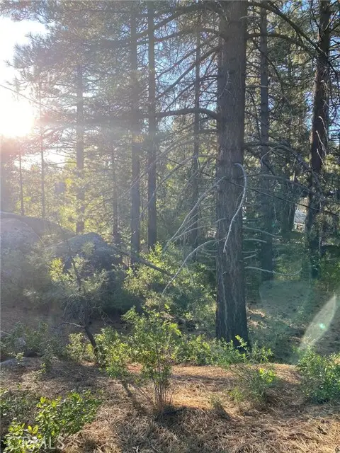 0 Cienega Road, Big Bear Lake, CA 92315