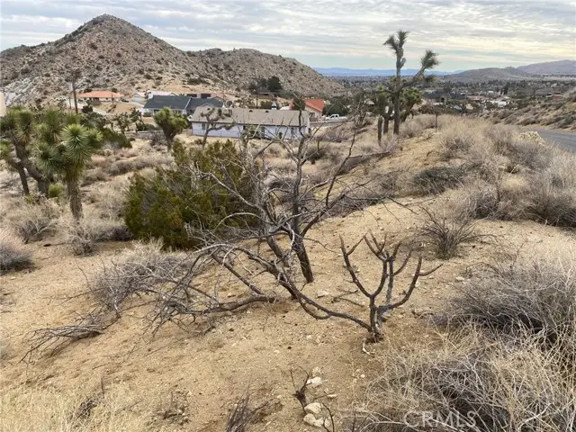0 Free Gold Drive, Yucca Valley, CA 92284 - #3