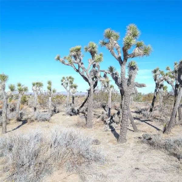0 W AVE 12, Llano, CA 93544