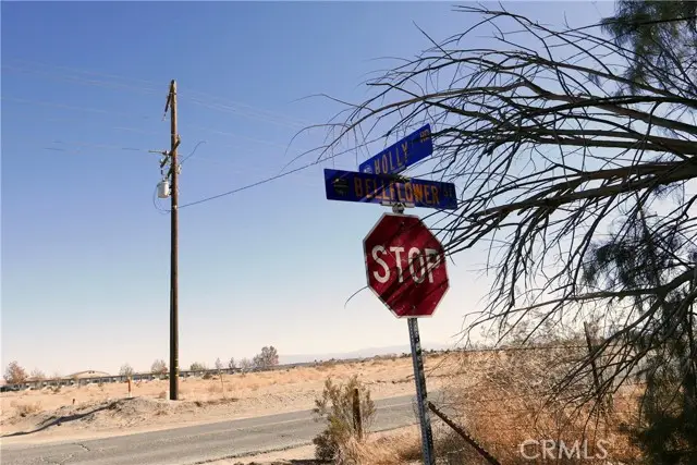 0 Aster Road, Adelanto, CA 92301 - #2