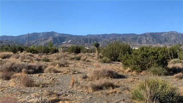 0 Yucca Terrace, Pinon Hills, CA 92372 - #1