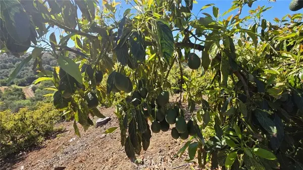 0 Via Barranca, Temecula, CA 92590