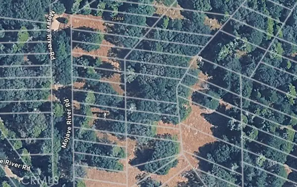 0 Mojave River Road, Cedarpines Park, CA 92322