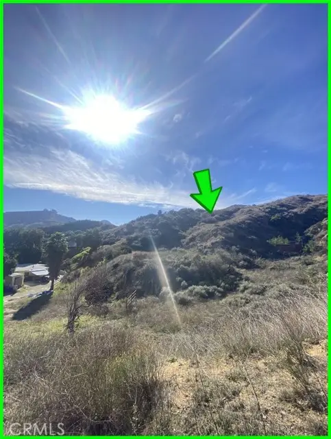 5317 Justamere Avenue, Castaic, CA 91384 - #2