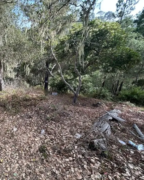 2812 Ramsey Road, Cambria, CA 93428 - #1