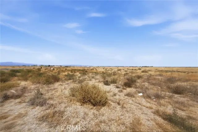 50 50th Ste HWY W, Pearblossom, CA 93553 - #3