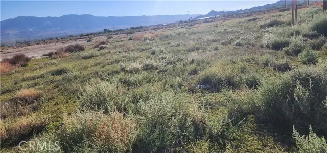 0 Rabbit Springs Road, Lucerne Valley, CA 92356 - #1