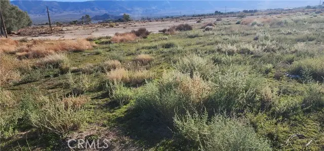0 Rabbit Springs Road, Lucerne Valley, CA 92356 - #3