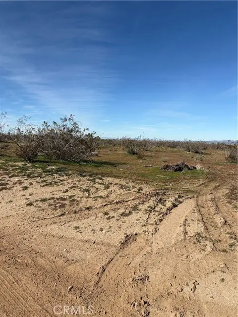 0 Olivine, Phelan, CA 92371 - #2