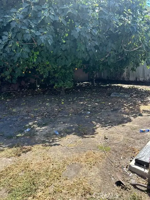 164 85th Place, Los Angeles, CA 90003 - #3