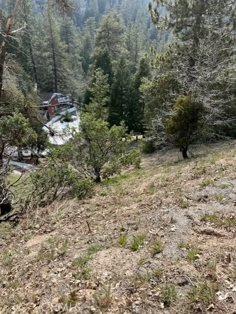 818 Berne, Twin Peaks, CA 92391 - #2