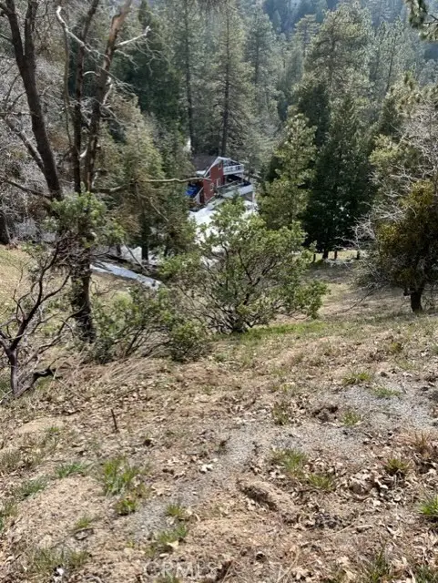 818 Berne, Twin Peaks, CA 92391 - #3