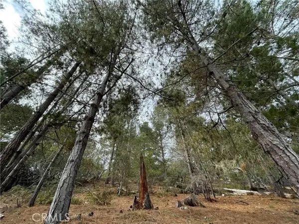 1955 Avon Avenue, Cambria, CA 93428