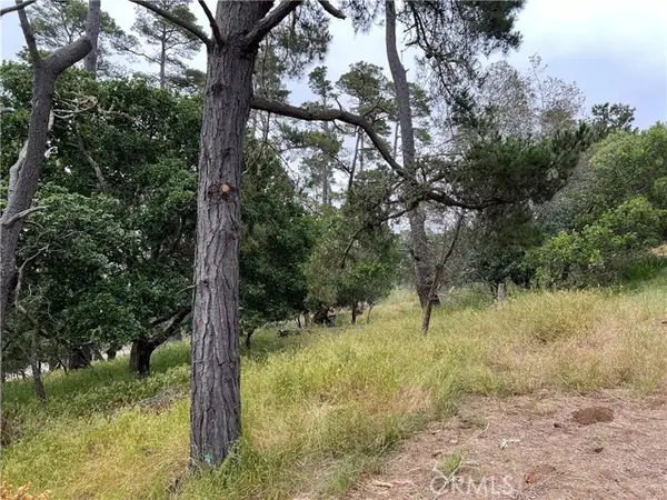 0 Norton Lane, Cambria, CA 93428