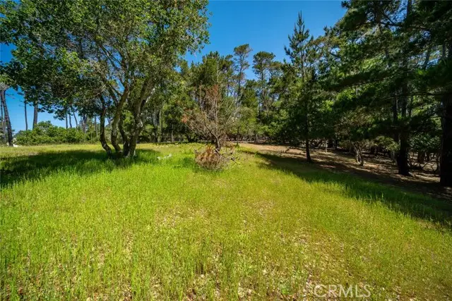 6475 Kathryn Drive, Cambria, CA 93428 - #1
