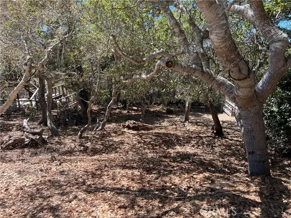 1845 Norwich Avenue, Cambria, CA 93428