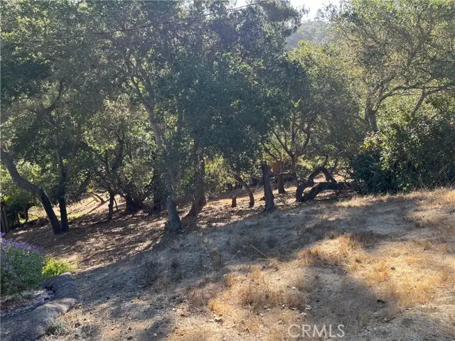 0 Bradford, Cambria, CA 93428 - #1