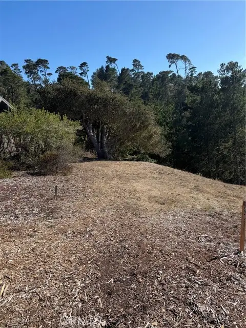 3123 Rogers, Cambria, CA 93428