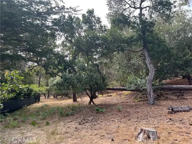1280 Warren Road, Cambria, CA 93428 - #1
