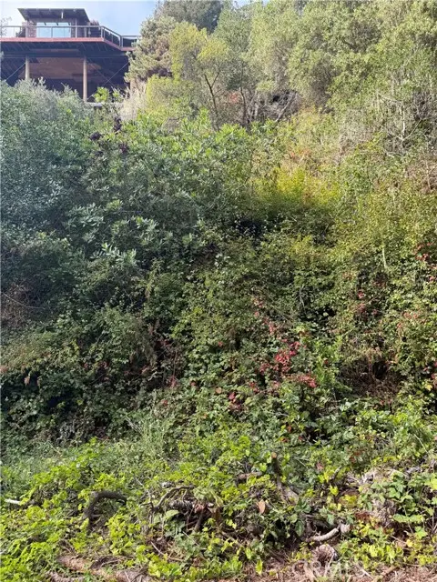 0 Sheffield, Cambria, CA 93428 - #1