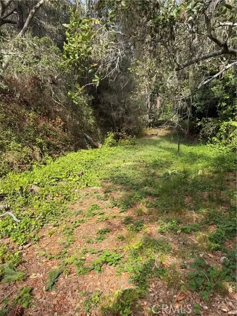 0 Sheffield, Cambria, CA 93428 - #3