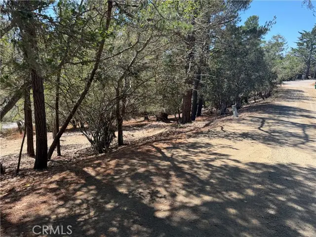 0 Pierce Ave, Cambria, CA 93428 - #3