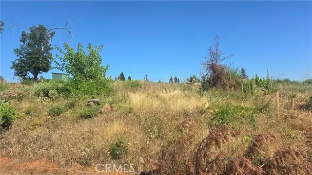 13668 Park Drive, Magalia, CA 95954 - #3