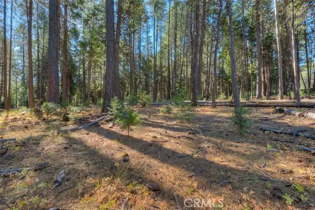 0 Fern Glenn Way, Magalia, CA 95954 - #1