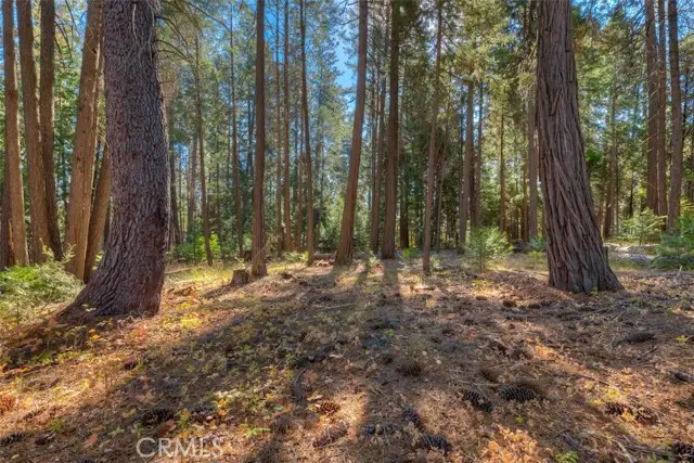 0 Fern Glenn Way, Magalia, CA 95954 - #3