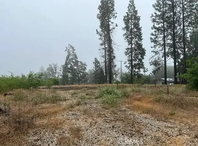 13620 Park, Magalia, CA 95954 - #2