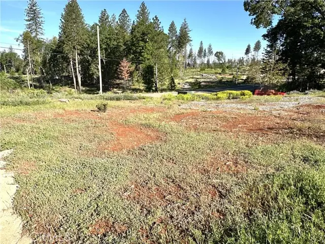 6203 Woodbury Drive, Magalia, CA 95954 - #3