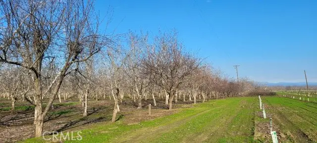 0 River Road, Chico, CA 95973 - #1