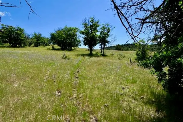0 Yellow Dog Trail, Hornbrook, CA 96044 - #3