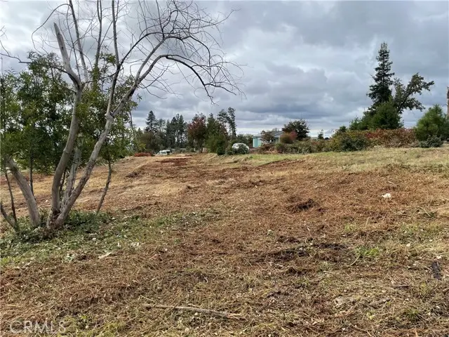 6636 View Acres Drive, Paradise, CA 95969 - #3