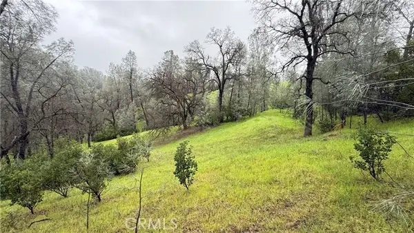 16370 Oakridge Road, Corning, CA 96021