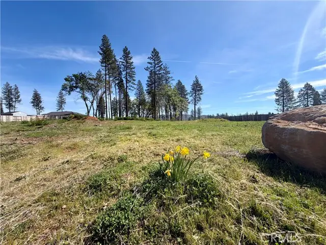 6588 Pentz Road, Paradise, CA 95969 - #1